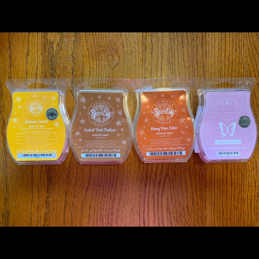 Scentsy Bar Set